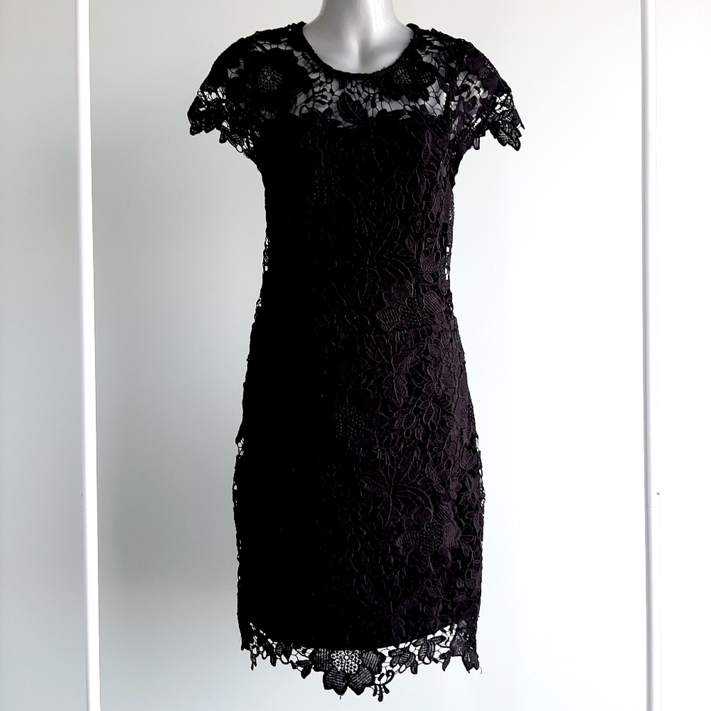 Elegant black lace see through dress